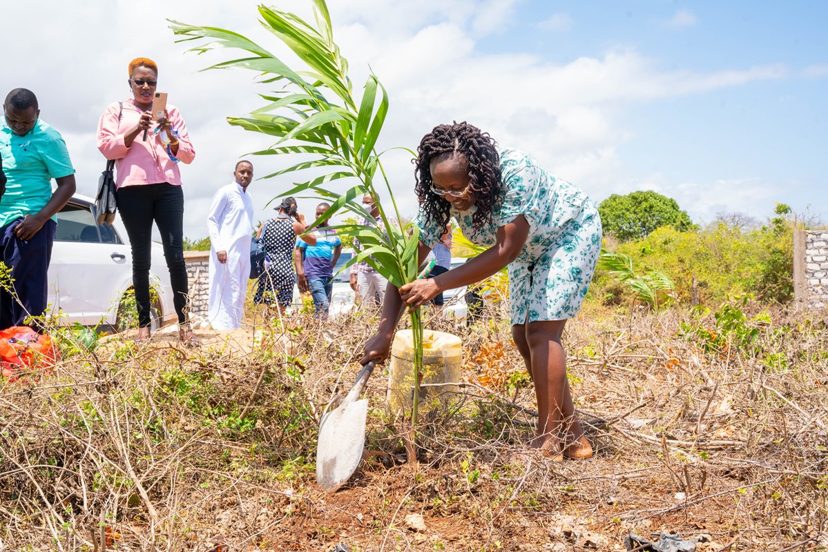 planting trees in Diani