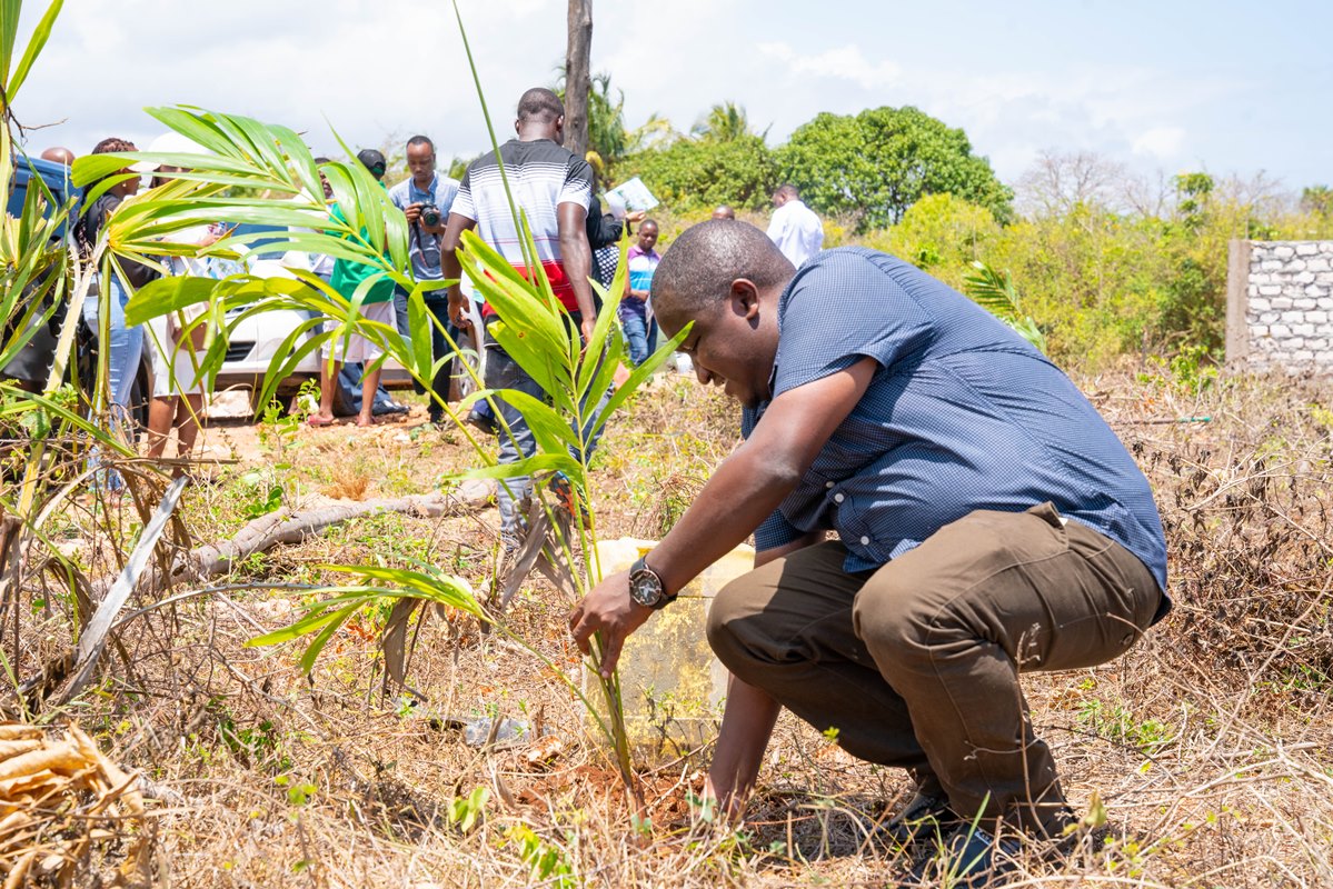 planting trees in Diani