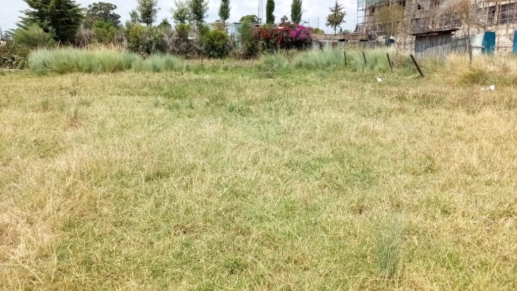 WhatsApp Image 2025-09-04 at 14.04.56_d5a6e5fc