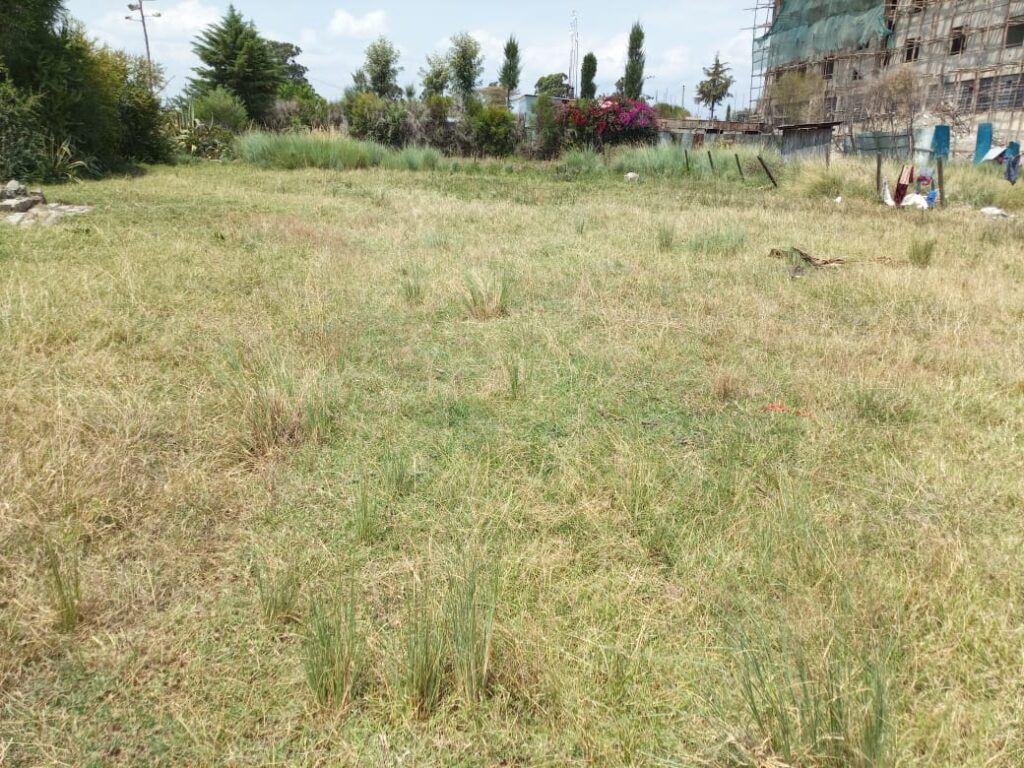 WhatsApp Image 2025-09-04 at 14.04.57_31fc2373