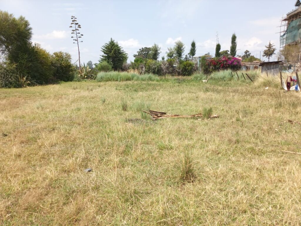 WhatsApp Image 2025-09-04 at 14.04.58_59e32e07