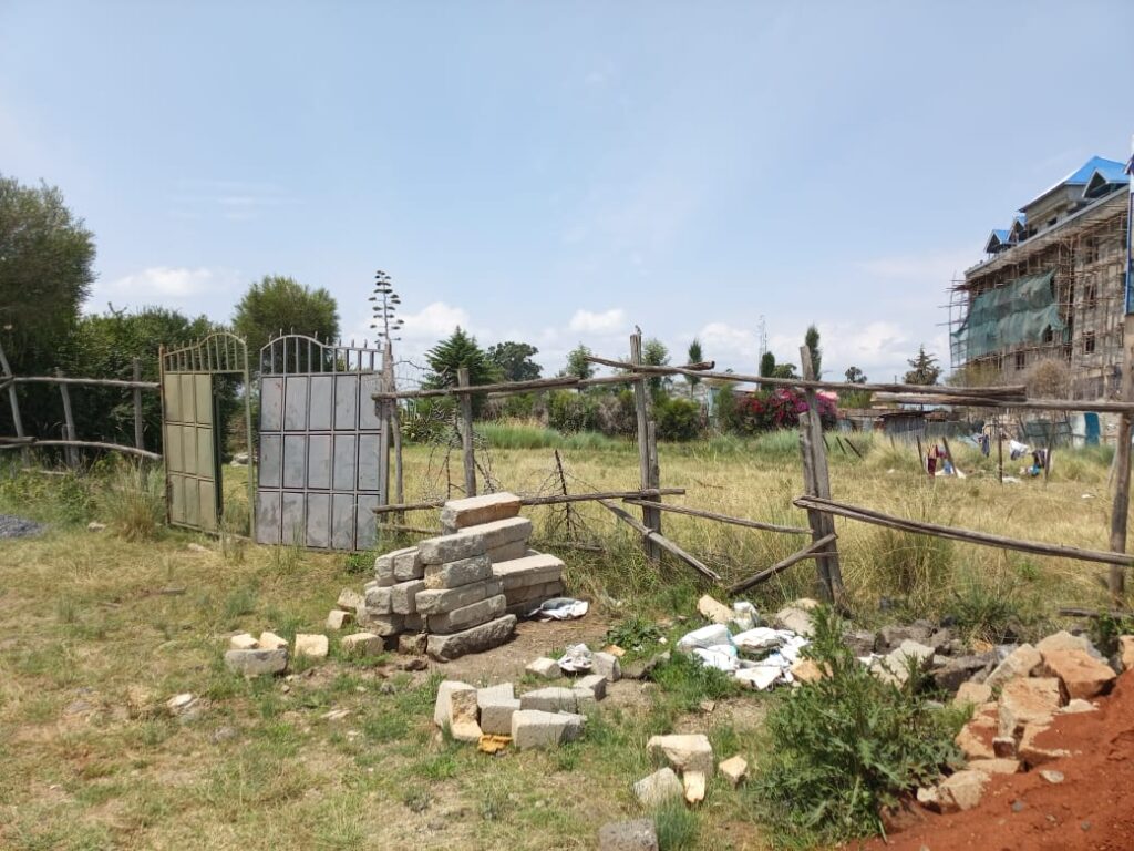 WhatsApp Image 2025-09-04 at 14.04.59_d57b775a