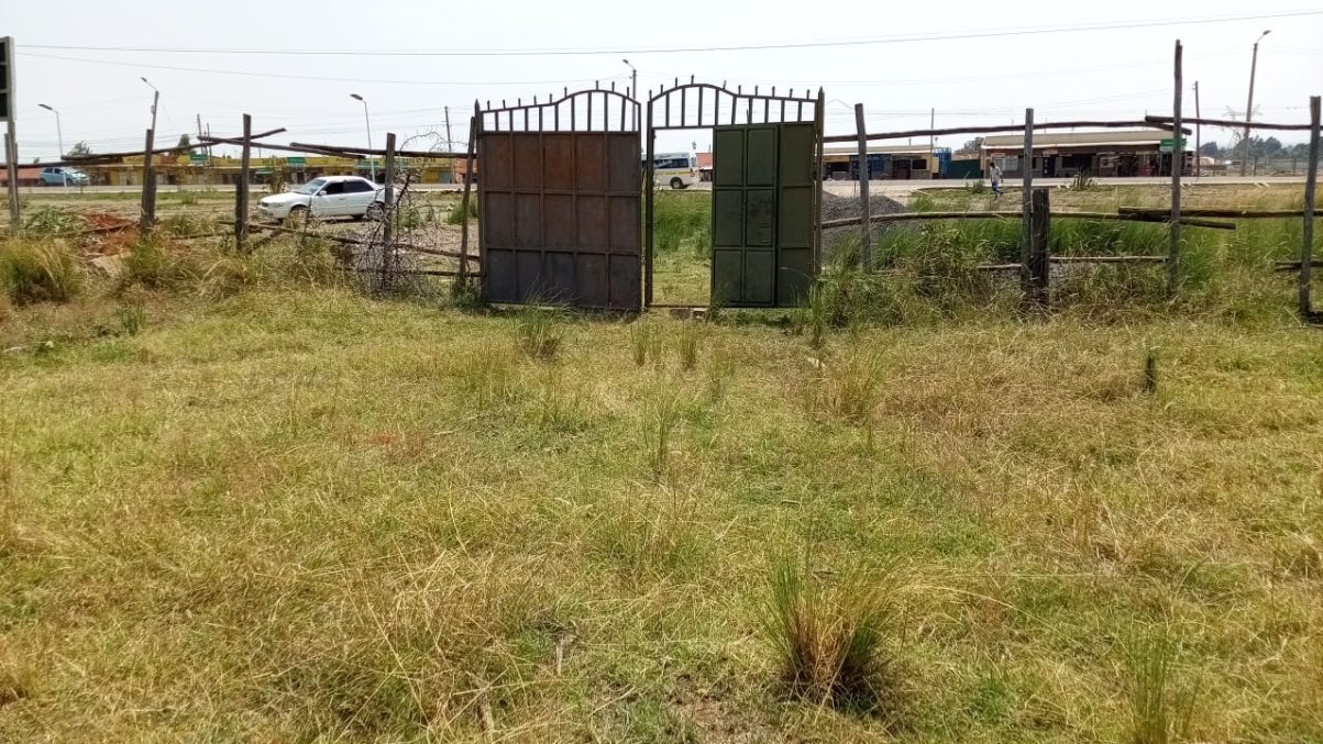 WhatsApp Image 2025-09-04 at 14.05.03_7ee18e8e WhatsApp Image 2025-09-04 at 14.05.03_7ee18e8e